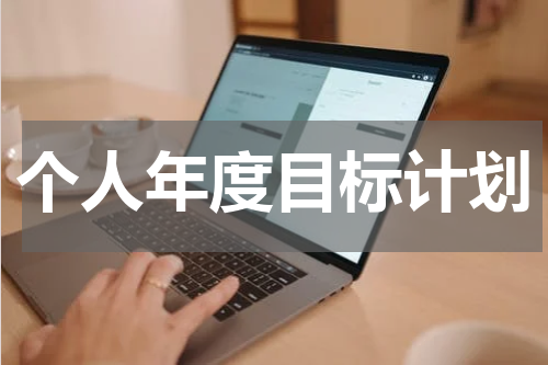 个人年度目标计划