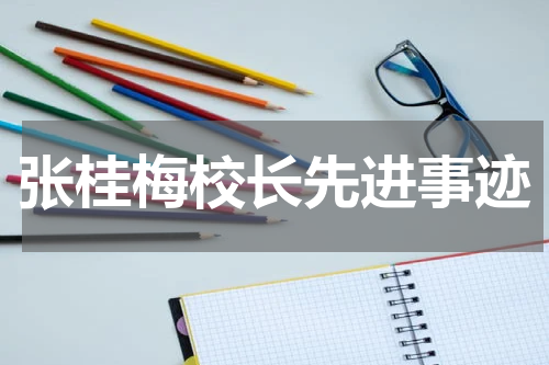 张桂梅校长先进事迹