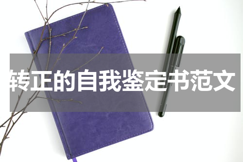 转正的自我鉴定书范文