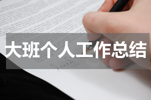大班个人工作总结