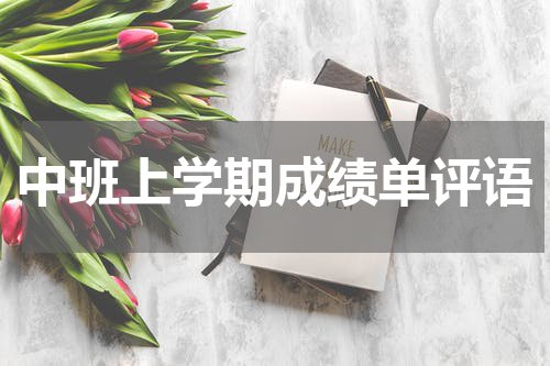 中班上学期成绩单评语
