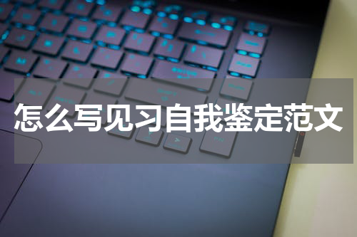 怎么写见习自我鉴定范文