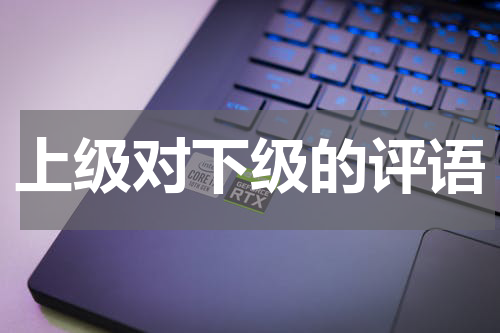 上级对下级的评语