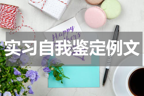 实习自我鉴定例文