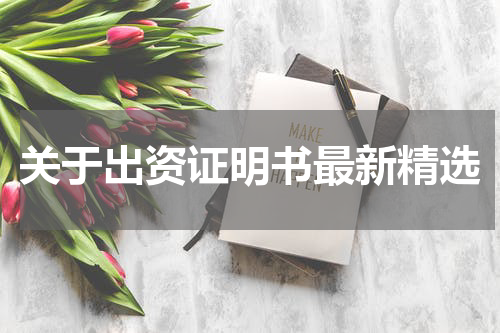 关于出资证明书最新精选