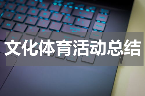 文化体育活动总结