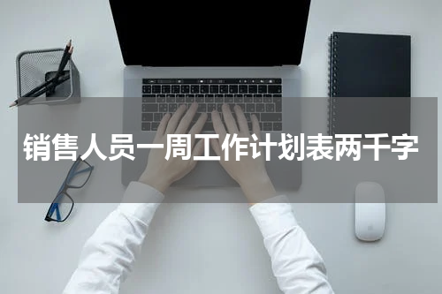 销售人员一周工作计划表两千字