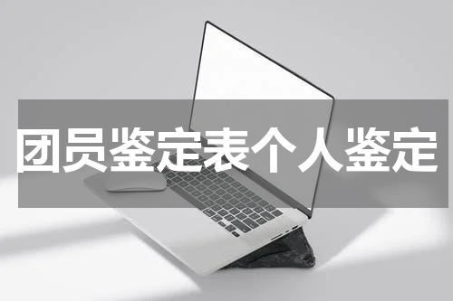 团员鉴定表个人鉴定