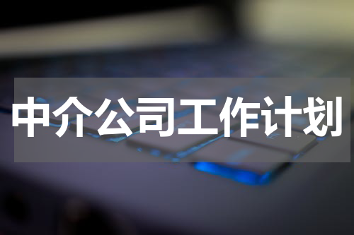 中介公司工作计划
