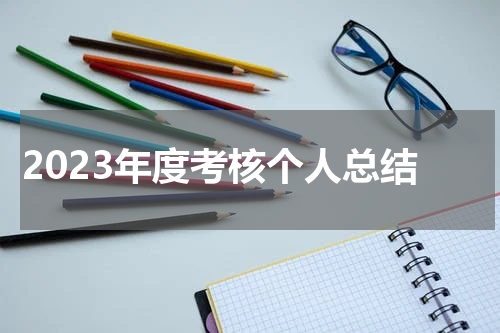 2023年度考核个人总结
