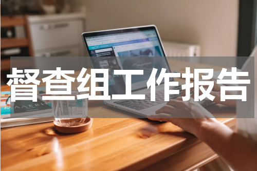 督查组工作报告