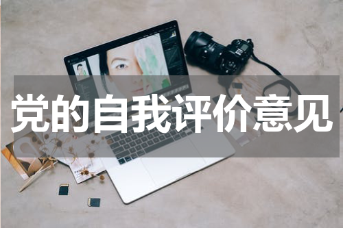 党的自我评价意见