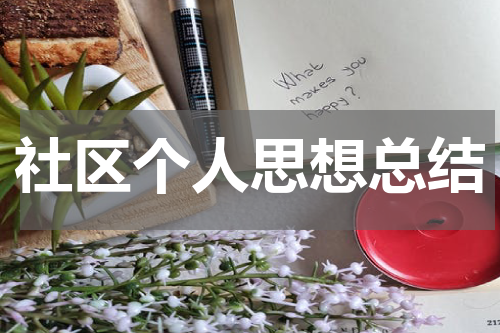 社区个人思想总结