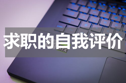 求职的自我评价