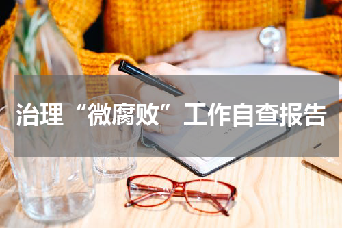 治理“微腐败”工作自查报告