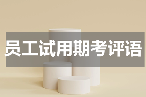 员工试用期考评语