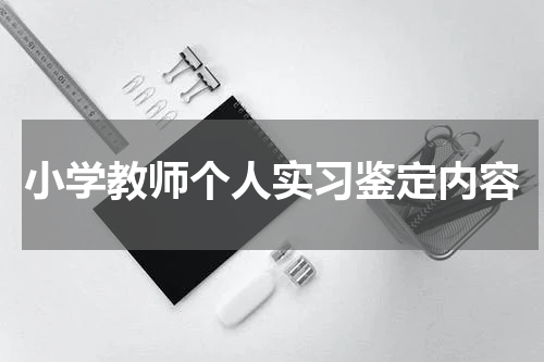 小学教师个人实习鉴定内容
