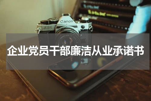 企业党员干部廉洁从业承诺书