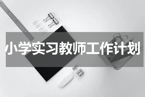 小学实习教师工作计划