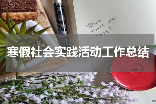 寒假社会实践活动工作总结