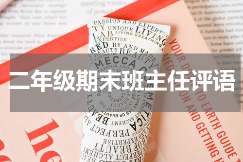 二年级期末班主任评语