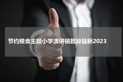 节约粮食主题小学演讲稿致辞最新2023