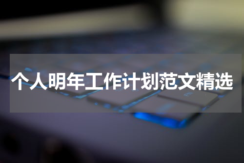 个人明年工作计划范文精选