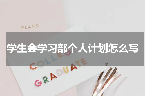学生会学习部个人计划怎么写