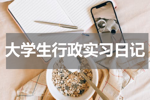 大学生行政实习日记