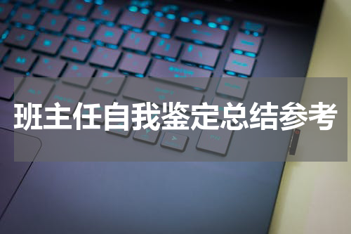 班主任自我鉴定总结参考