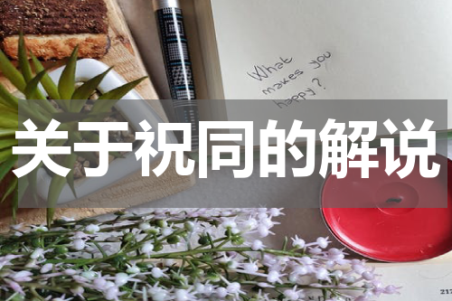 关于祝同的解说