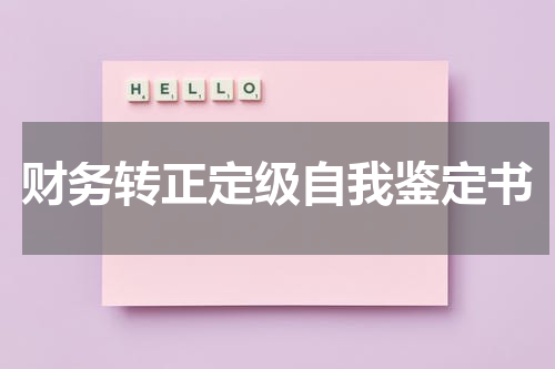 财务转正定级自我鉴定书