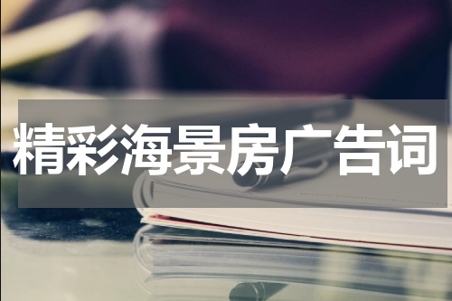 精彩海景房广告词