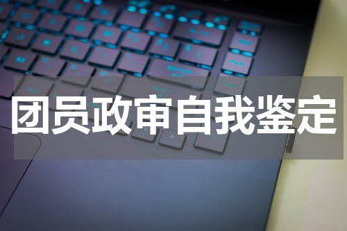 团员政审自我鉴定