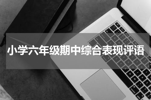 小学六年级期中综合表现评语