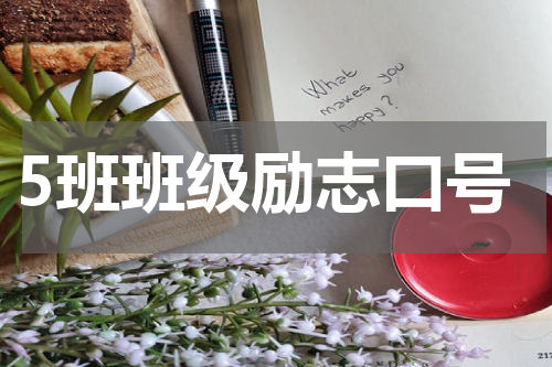 5班班级励志口号