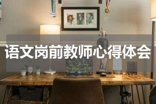 语文岗前教师心得体会