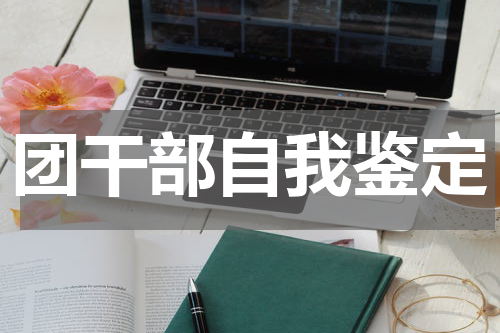 团干部自我鉴定