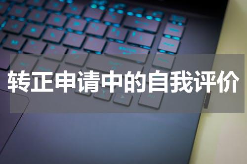 转正申请中的自我评价