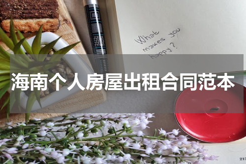 海南个人房屋出租合同范本