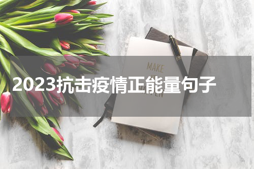 2023抗击疫情正能量句子