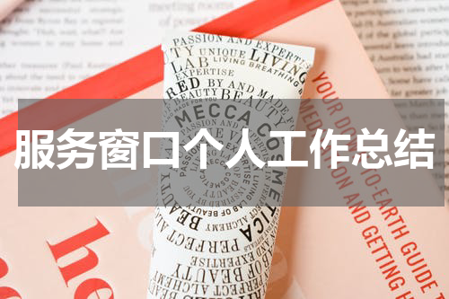 服务窗口个人工作总结