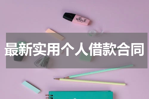 最新实用个人借款合同