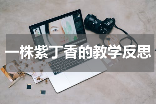 一株紫丁香的教学反思