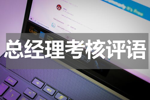 总经理考核评语