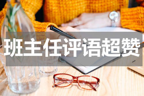 班主任评语超赞