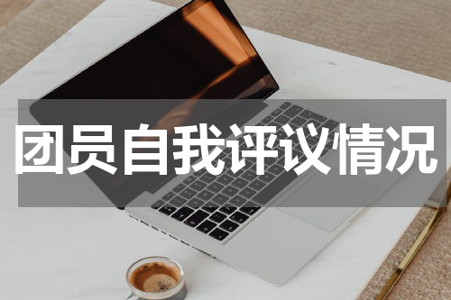 团员自我评议情况