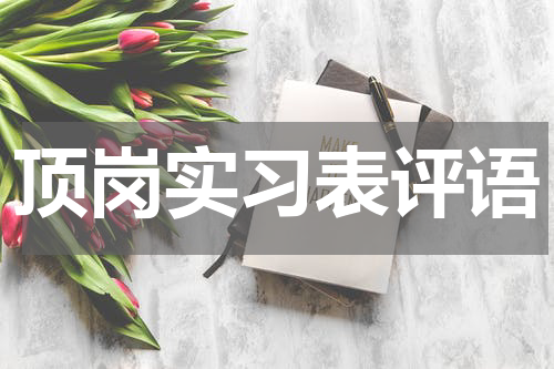 顶岗实习表评语