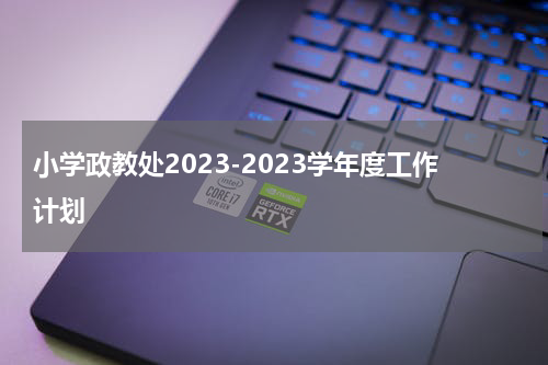 小学政教处2023-2023学年度工作计划