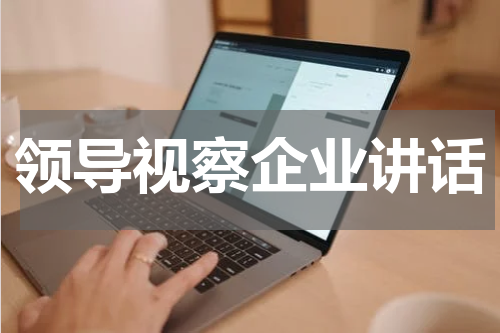 领导视察企业讲话